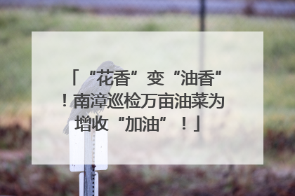 “花香”变“油香”！南漳巡检万亩油菜为增收“加油”！