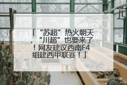 “苏超”热火朝天，“川超”也要来了！网友建议西南F4组建西甲联赛！