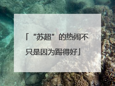 “苏超”的热闹不只是因为踢得好