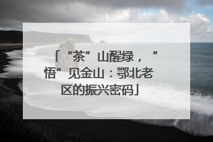“茶”山醒绿，“悟”见金山：鄂北老区的振兴密码