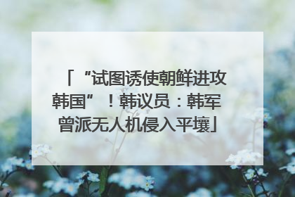 “试图诱使朝鲜进攻韩国”！韩议员：韩军曾派无人机侵入平壤