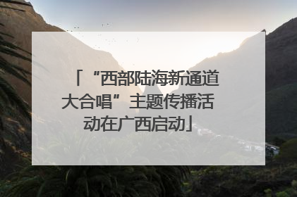 “西部陆海新通道大合唱”主题传播活动在广西启动