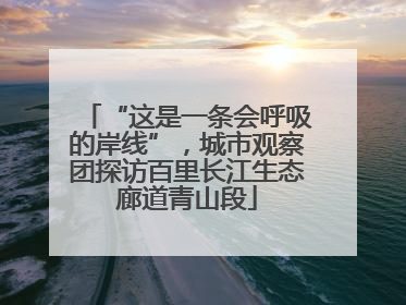 “这是一条会呼吸的岸线”，城市观察团探访百里长江生态廊道青山段