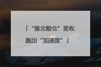 “豫北粮仓”麦收跑出“加速度”