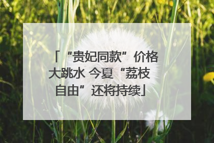 “贵妃同款”价格大跳水 今夏“荔枝自由”还将持续
