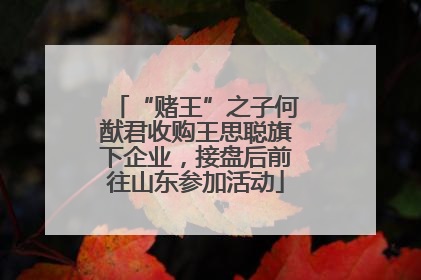 “赌王”之子何猷君收购王思聪旗下企业，接盘后前往山东参加活动