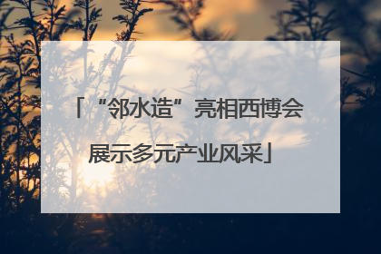 “邻水造”亮相西博会 展示多元产业风采