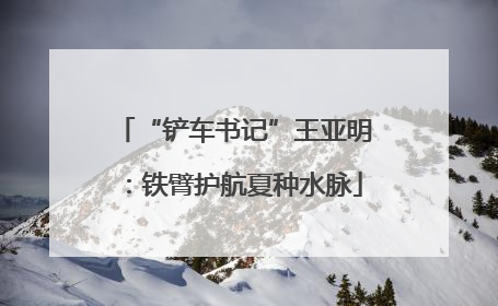 “铲车书记”王亚明：铁臂护航夏种水脉