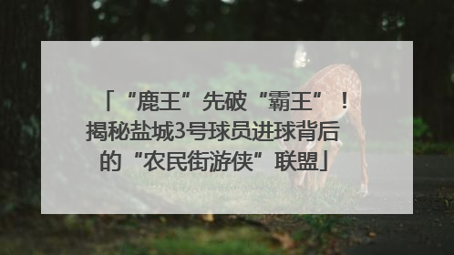 “鹿王”先破“霸王”！揭秘盐城3号球员进球背后的“农民街游侠”联盟