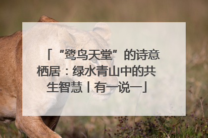 “鹭鸟天堂”的诗意栖居：绿水青山中的共生智慧丨有一说一