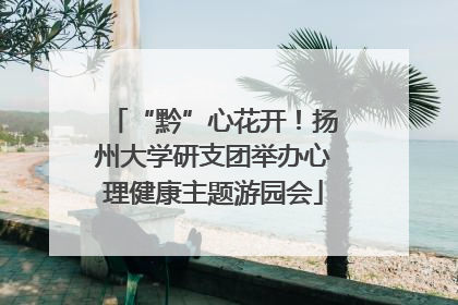 “黔”心花开！扬州大学研支团举办心理健康主题游园会
