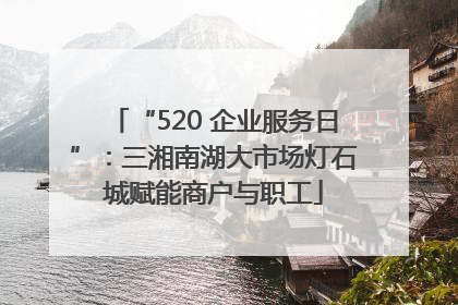 “520 企业服务日”：三湘南湖大市场灯石城赋能商户与职工