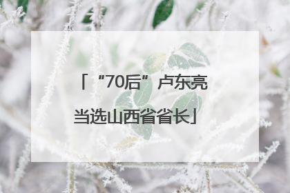 “70后”卢东亮当选山西省省长