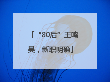 “80后”王鸣昊，新职明确