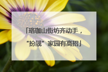 珞珈山街坊齐动手，“扮靓”家园有高招