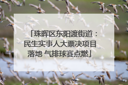 珠晖区东阳渡街道：民生实事人大票决项目落地 气排球赛点燃