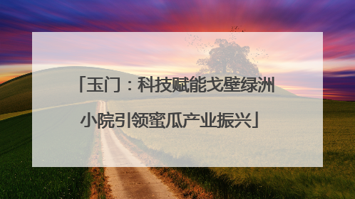 玉门：科技赋能戈壁绿洲 小院引领蜜瓜产业振兴