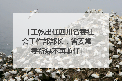 王乾出任四川省委社会工作部部长，省委常委靳磊不再兼任