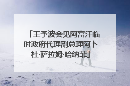 王予波会见阿富汗临时政府代理副总理阿卜杜·萨拉姆·哈纳菲