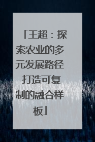 王超：探索农业的多元发展路径 打造可复制的融合样板