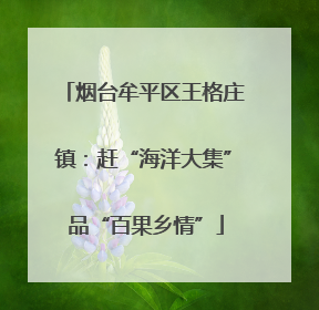 烟台牟平区王格庄镇：赶“海洋大集” 品“百果乡情”