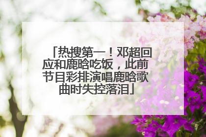 热搜第一！邓超回应和鹿晗吃饭，此前节目彩排演唱鹿晗歌曲时失控落泪