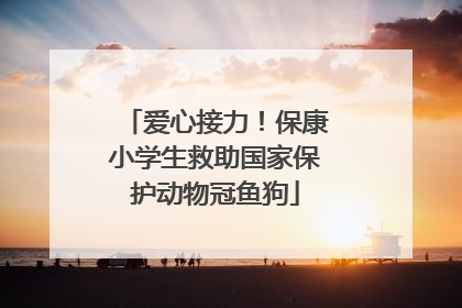 爱心接力！保康小学生救助国家保护动物冠鱼狗