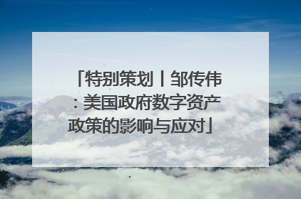 特别策划丨邹传伟：美国政府数字资产政策的影响与应对