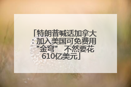 特朗普喊话加拿大：加入美国可免费用“金穹” 不然要花610亿美元