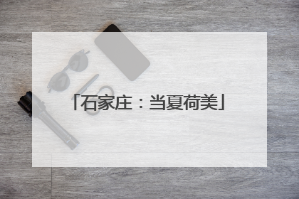 石家庄：当夏荷美