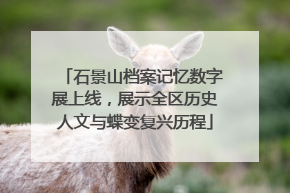 石景山档案记忆数字展上线，展示全区历史人文与蝶变复兴历程