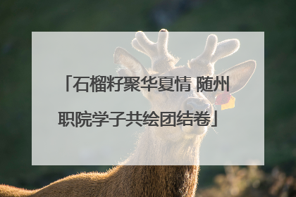 石榴籽聚华夏情 随州职院学子共绘团结卷