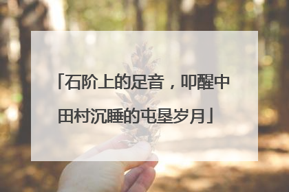 石阶上的足音，叩醒中田村沉睡的屯垦岁月