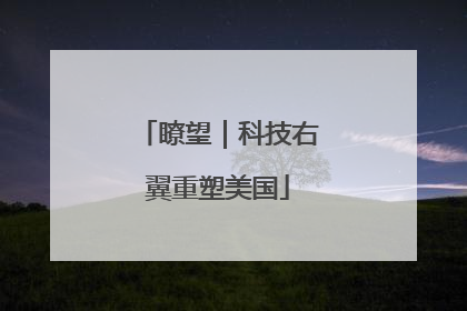 瞭望｜科技右翼重塑美国