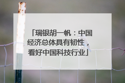 瑞银胡一帆：中国经济总体具有韧性，看好中国科技行业