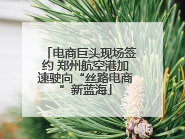 电商巨头现场签约 郑州航空港加速驶向“丝路电商”新蓝海