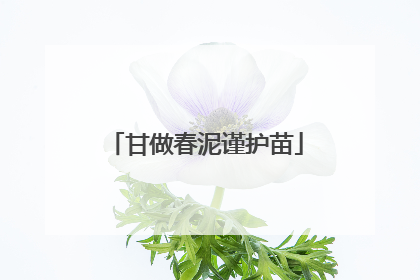 甘做春泥谨护苗