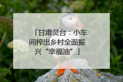 甘肃灵台：小车间榨出乡村全面振兴“幸福油”