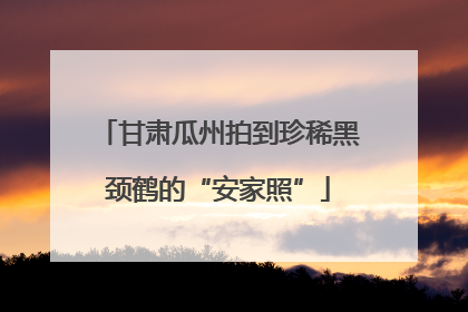 甘肃瓜州拍到珍稀黑颈鹤的“安家照”