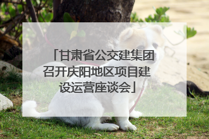甘肃省公交建集团召开庆阳地区项目建设运营座谈会