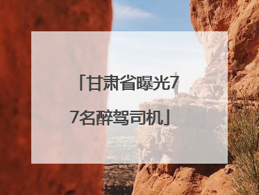 甘肃省曝光77名醉驾司机