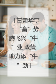 甘肃华亭：“畜”势腾飞兴“牛”业 政策助力添“牛”劲