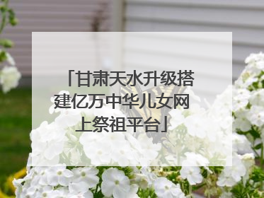 甘肃天水升级搭建亿万中华儿女网上祭祖平台