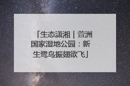 生态潇湘｜萱洲国家湿地公园：新生鹭鸟振翅欲飞
