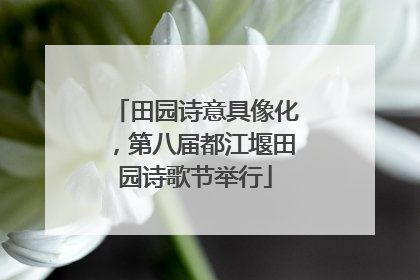 田园诗意具像化，第八届都江堰田园诗歌节举行