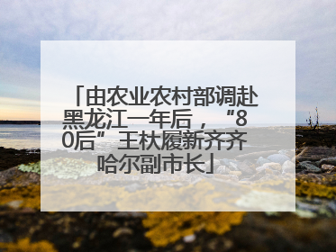 由农业农村部调赴黑龙江一年后，“80后”王杕履新齐齐哈尔副市长