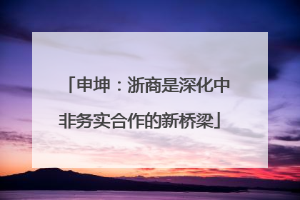 申坤：浙商是深化中非务实合作的新桥梁