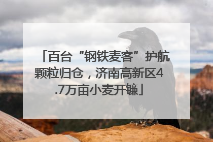百台“钢铁麦客”护航颗粒归仓，济南高新区4.7万亩小麦开镰