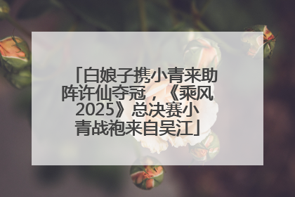 白娘子携小青来助阵许仙夺冠，《乘风2025》总决赛小青战袍来自吴江