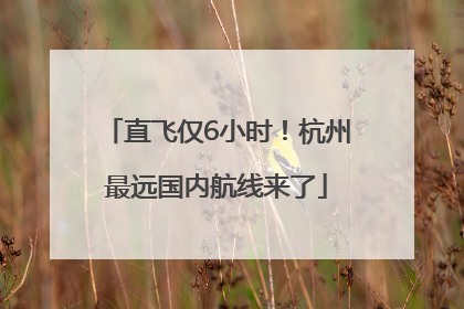 直飞仅6小时！杭州最远国内航线来了